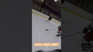 Cross crease ❌  Helmet Cam GoPro Hockey Goalie hockey goprohockey hockeygoalie hockeyvideos [upl. by Aseret]