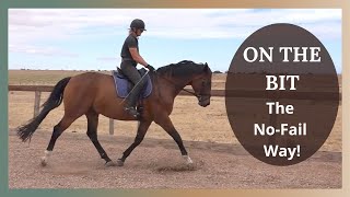 Dressage Training  Getting Your Horse Forward And On The Bit [upl. by Siuqaj]