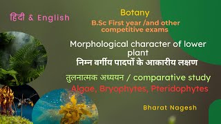 Morphological characters of lower plant Algae Bryophytes Pteridophyte [upl. by Conover83]