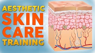 Learn about Aesthetic Skin Care [upl. by Peter]