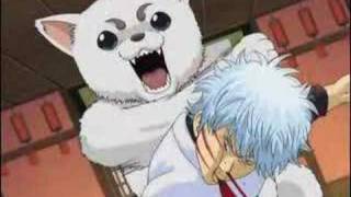 Gintama AMV Diabeetus [upl. by Yonita]