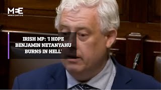 Irish MP I hope Benjamin Netanyahu burns in hell [upl. by Aenal132]