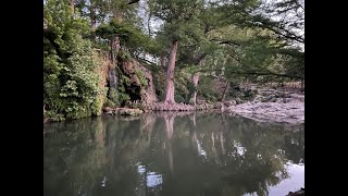 Adventure at Jacobs Well and Krause Springs [upl. by Billmyre]