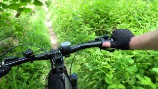 Lions trail Steyning MTB May 24 [upl. by Gerek245]