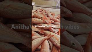 MiniVlog Muttrah Fish Market Part2 [upl. by Golter694]