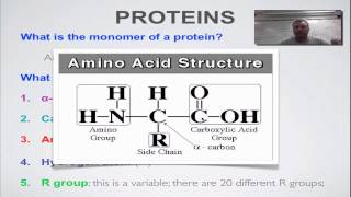 Screencast 2C Part 1  Amino Acid Structure [upl. by Gefen]