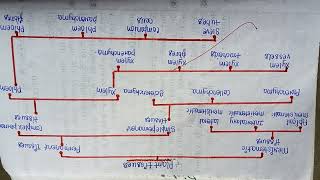 flowchart of plant tissues class 9th toppervidyarthi [upl. by Larrisa]