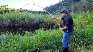 TEM QUE SER VARA DE BAMBU PRA AGUENTAR OS PEIXES DESSE LUGAR PESCARIA DE TRAÍRA COM VARA DE BAMBU [upl. by Shelley]