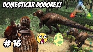 DOMESTICAR DODOREX Y BEBE DODOREX ARK 2 mod serie 16 DINOSAURIOS en Español HD [upl. by Sema976]