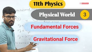 The four Fundamental forces contact field force and gravitational force [upl. by Matilde]