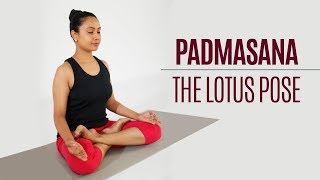 How to do Padmasana – Lotus Pose  Yoga  Sitting Posture [upl. by Etti233]