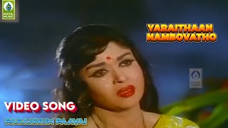 Yaaraithann Nambovatho Video Song  Parakum Paavai  MGR  Saroja devi [upl. by Sievert]