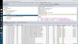 OWASP ZAP Breakpoints Part 2  Trapping Specific HTTP Requests [upl. by Luar]