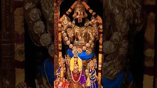 Ippassi Brahmotsavam 101124 Appan Venkatesa Perumal darshan 🙏Thirumukkudal perumal youtubeshorts [upl. by Tace192]