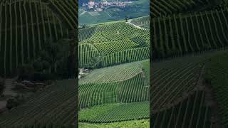 Barolo life winelovers piedmont dolcevita [upl. by Sairacaz]