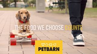 The Food We Choose Counts  Petbarn [upl. by Anbul]