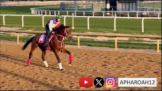 2024 Kentucky Derby 150 Training 41424 Japans Forever Young Hits the Track for First Time [upl. by Neeron790]