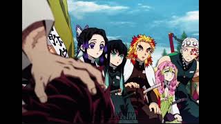 Demon Slayer HashirasPillars EDITAMV [upl. by Domenic971]