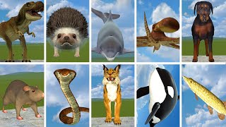 I FOUND ALL ZOOCHOSIS MONSTERS In Garrys Mod [upl. by Deste]