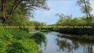 “A Moment of Peace” at Prompton State Park  4K Relaxation Film with Ambient Sound [upl. by Lemmy]