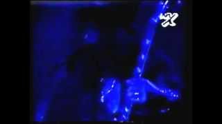 Slashs Snakepit  Buenos Aires 1995 FULL SHOW  RARE [upl. by Resneps522]