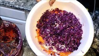 Making Coleslaw  RESA Richardson Recipe  Happy 4th of July [upl. by Rhyner]