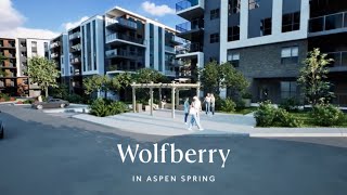 Wolfberry in Aspen Spring  Promo [upl. by Gabie]