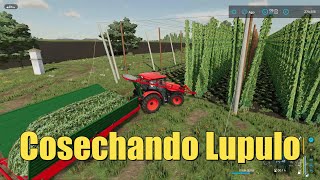 Cosechando Lúpulo  FS22 [upl. by Eidur]