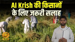 डीडी किसान के एआई एंकर कृष से जानिए खेती किसानी से संबंधित जानकारी  DD Kisan  November 07 2024 [upl. by Favien]