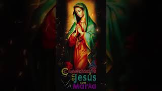 Virgen de Guadalupe Confiando en tu Amor Materno amor amoramaria amoryfe amorygracia [upl. by Chickie]