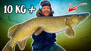 10 GIANT PIKE CAUGHT FROM ICE Dream Fishing  Team Galant [upl. by Ecirtaemed700]