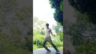 Nuclear  LeroySanchez Dance Covernuclear song leroysanchez newmusic dance shorts sync [upl. by Mindy]