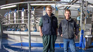 50 Point Rotary Milking Parlour Netherlands [upl. by Ymme]