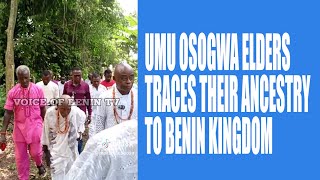 ELDERS AND INDIGENES OF UMU OSOGWA DESCENDANTS OF DELTA STATE TRACE THEIR ANCESTRY TO BENIN KINGDOM [upl. by Initirb]