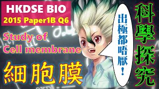 破解SBA│DSE Bio │ HKDSE 2015 1B Q6 │ cell membrane investigation 細胞膜探究 │ Faith Education 雙語Bilingual [upl. by Anairol]