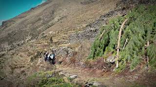 Ura Ayllu en Cuyocuyo Sandía [upl. by Teferi]