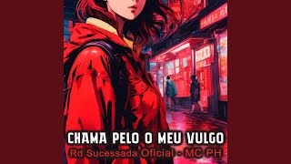 Chama Pelo o Meu Vulgo feat MC PH [upl. by Alletneuq226]