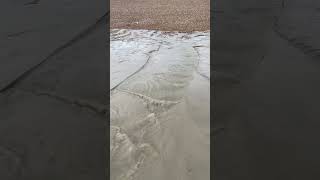 The water washed up and we found sand music song brighton [upl. by Loss]