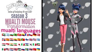 Miraculous season 3  Mualti mouse  Transformation  Mualti languages [upl. by Elyk]