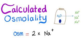 Calculated Osmolality [upl. by Ettennan]