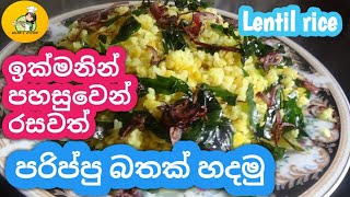 Make dhal rice easily  lets make dhal rice easily  lentil rice prepared by Dulani [upl. by Dygal]