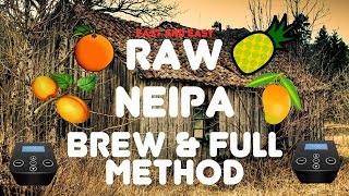 Raw NEIPA Brew amp Full Method Guide [upl. by Feltie224]