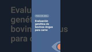 Evaluación genética de bovinos Angus [upl. by Relluf]