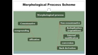 Morphological Processes Definitions and Examples [upl. by Alderson358]