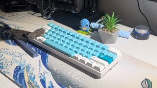 Gateron Pro Yellow Milky PBT Cherry Iceberg CIY61  ASMR [upl. by Ettessil]