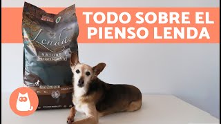 ¿Cómo es el PIENSO LENDA para PERROS 🐶🥩 Composición Variedades y Beneficios [upl. by Shanley412]