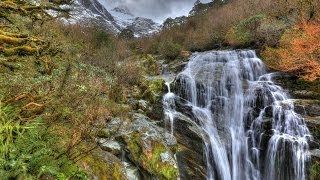 Milford Track Great Walk 3 of 9  Living a Kiwi Life  Ep 18 [upl. by Lalitta]