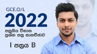 GCE OL 2022 Maths Past Paper Discussion By Sinhala  1 Paper B [upl. by Hoashis]