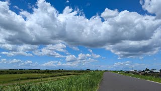 20240817 台風一過の江戸川サイクリングロード [upl. by Neeoma]