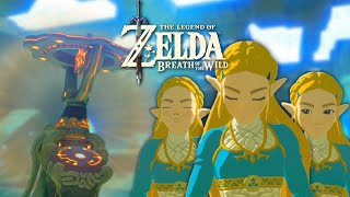 Breath of the Wild but I think I really broke it this time [upl. by Brandise34]